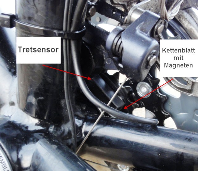 Dolphin-sensor-neu03-